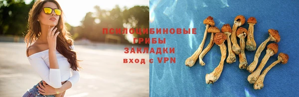 прущий лед Вязники