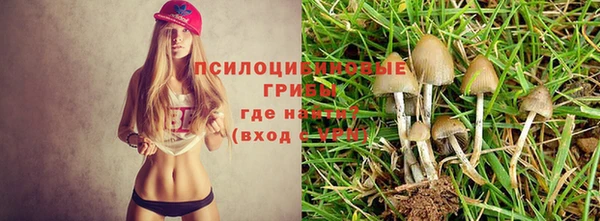 трава Вязьма