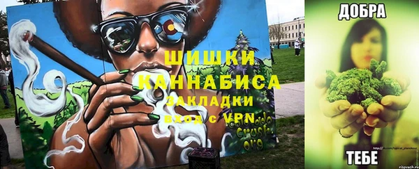 трава Вязьма