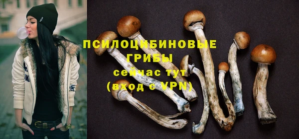 соль курить ск Вяземский